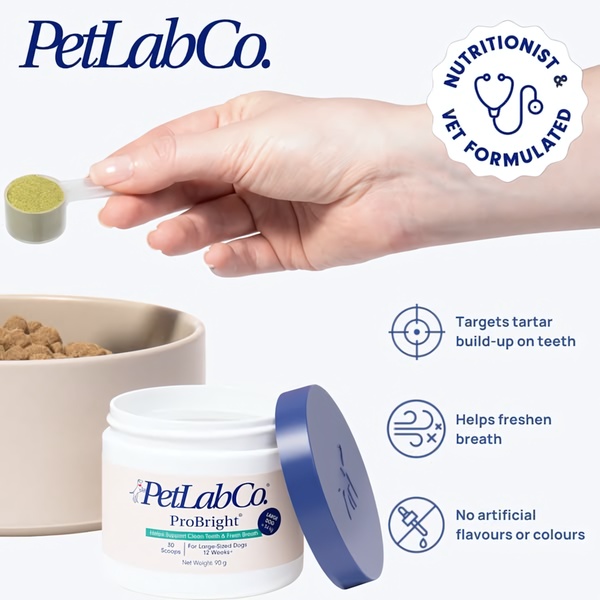 A clean, minimalist product spotlight for a dog dental supplement using clear iconography to highlight key health benefits.